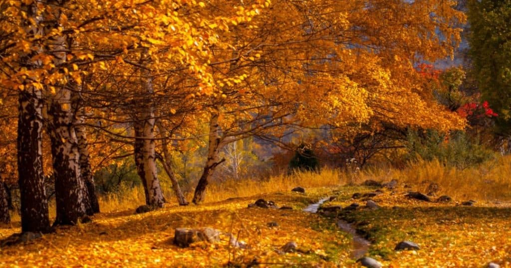 September