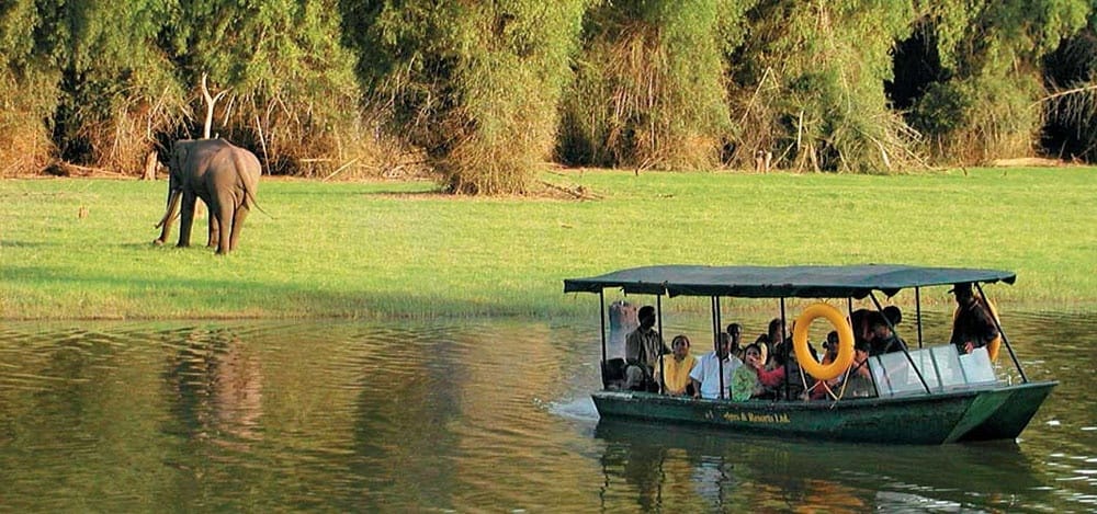 kabini.jpeg