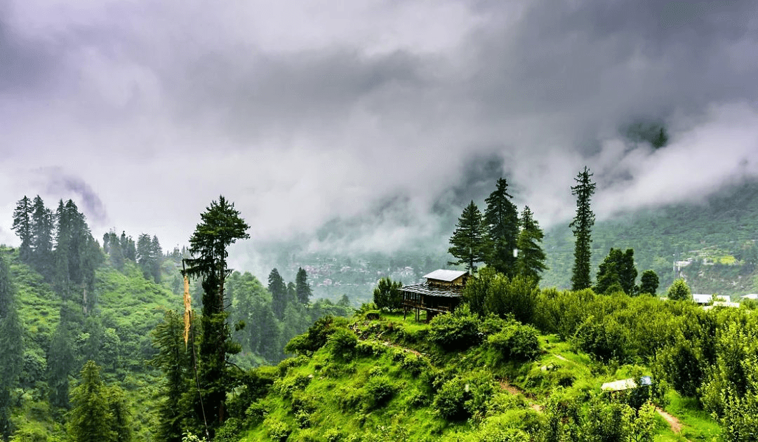 kasauli.jpeg