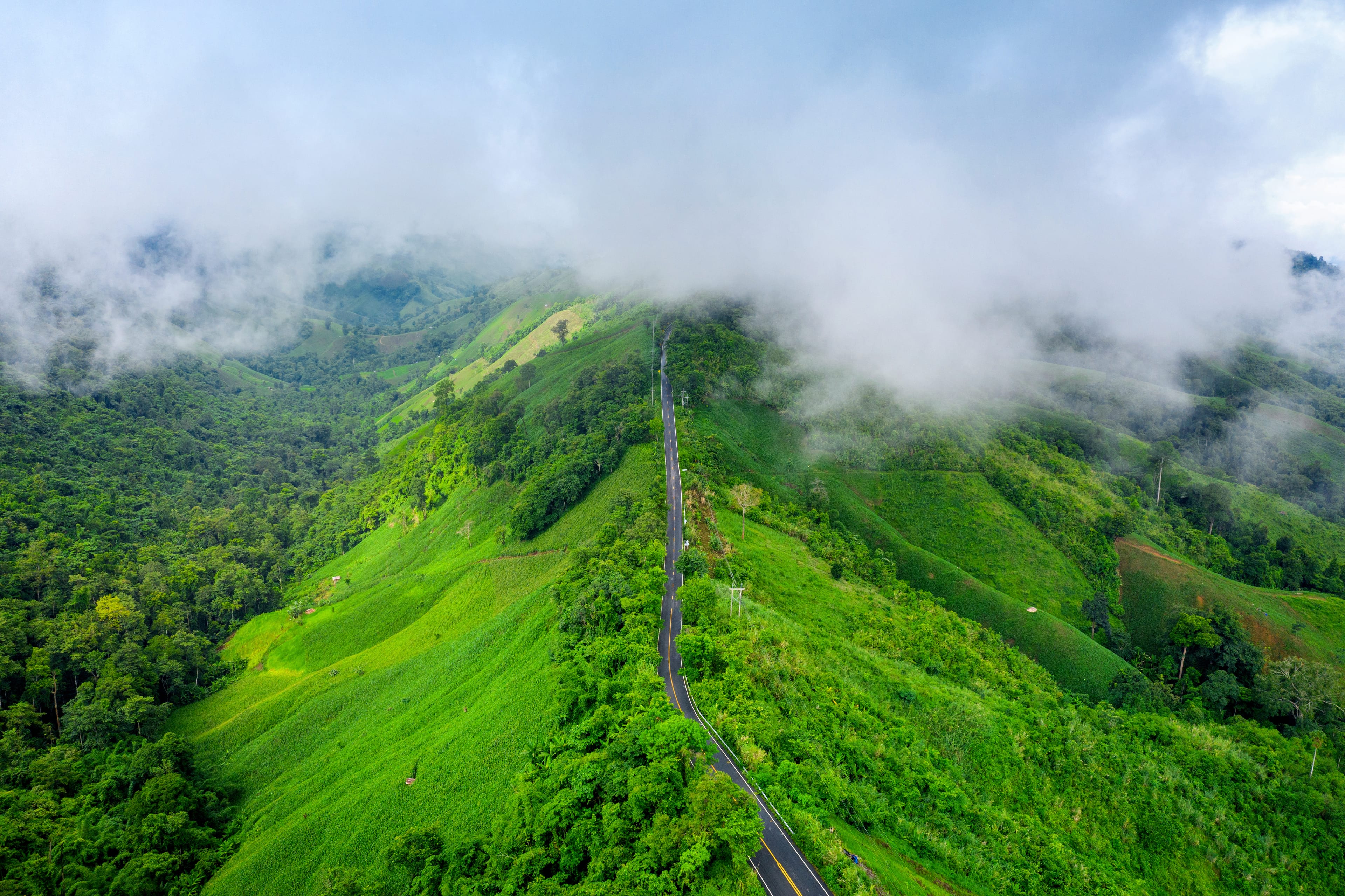 munnar.jpeg