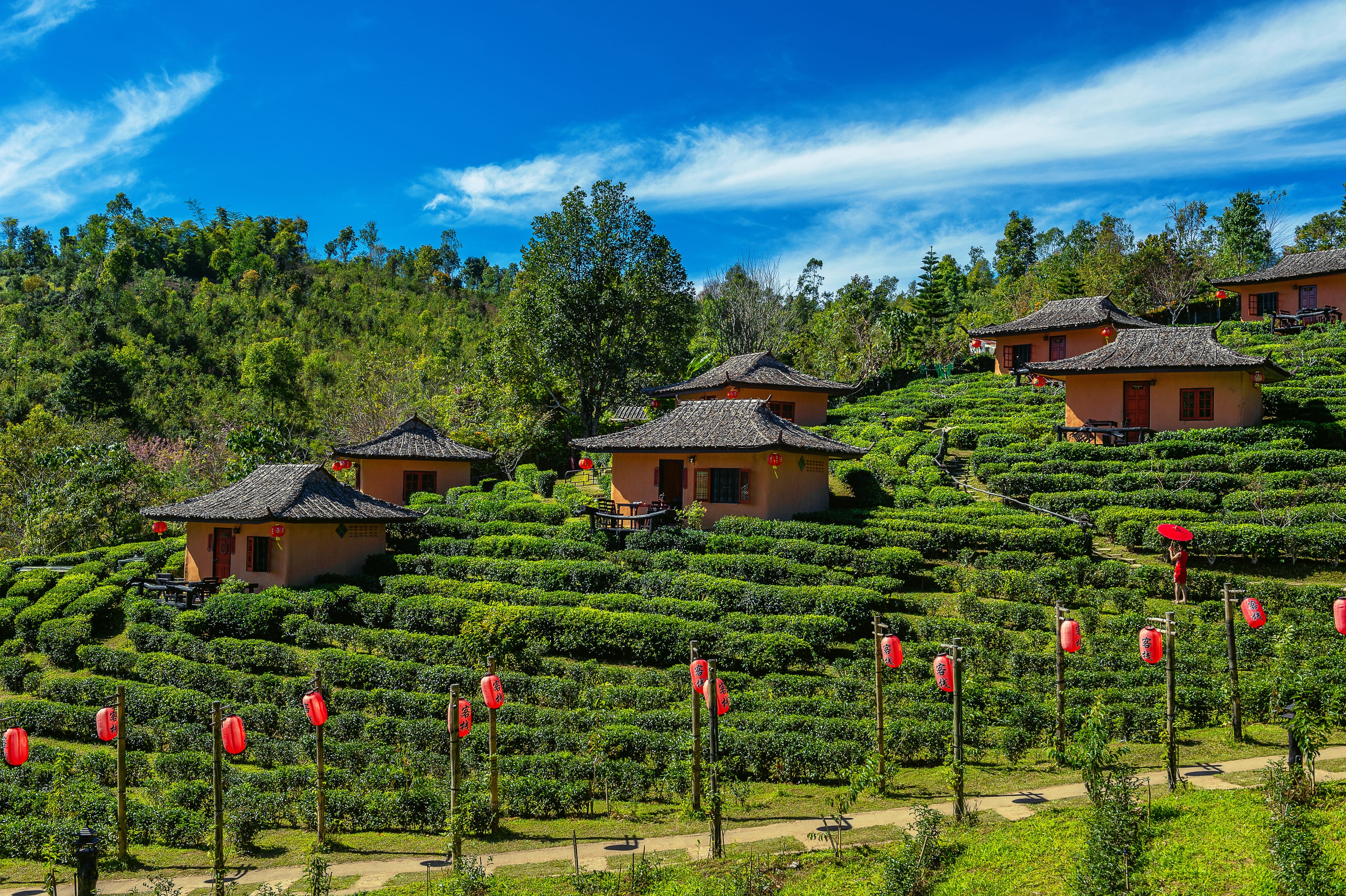 ooty.jpeg