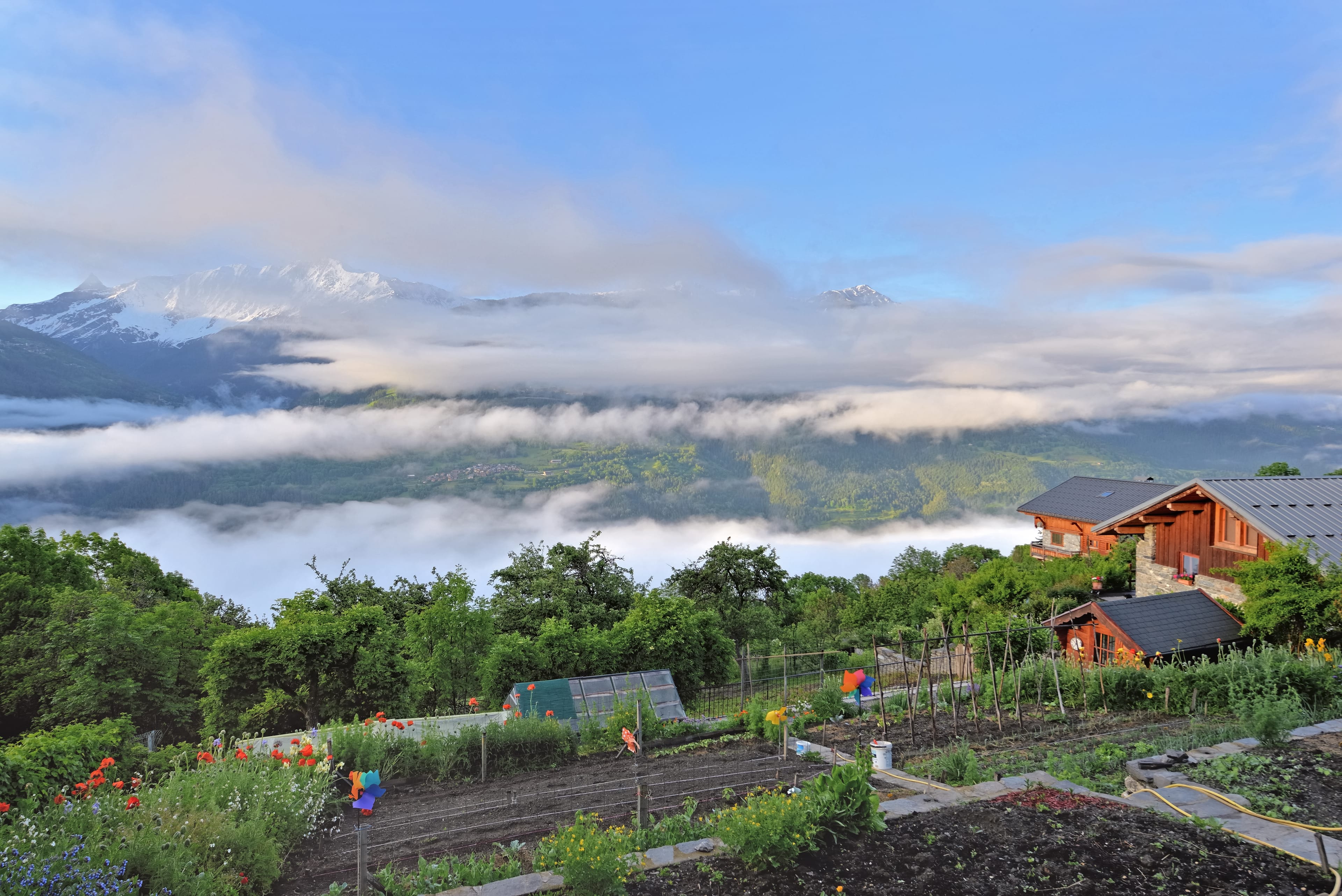 ranikhet.jpeg