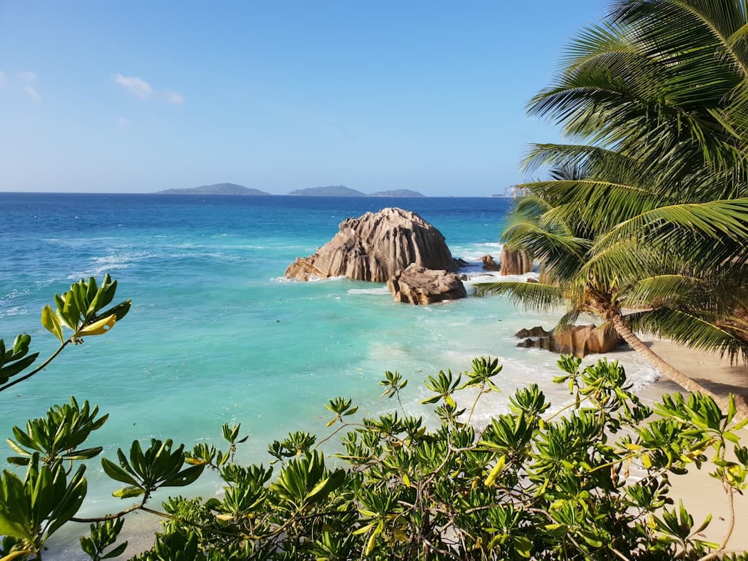 Seychelles Travel Guide: Best Time to Visit & Top Islands
