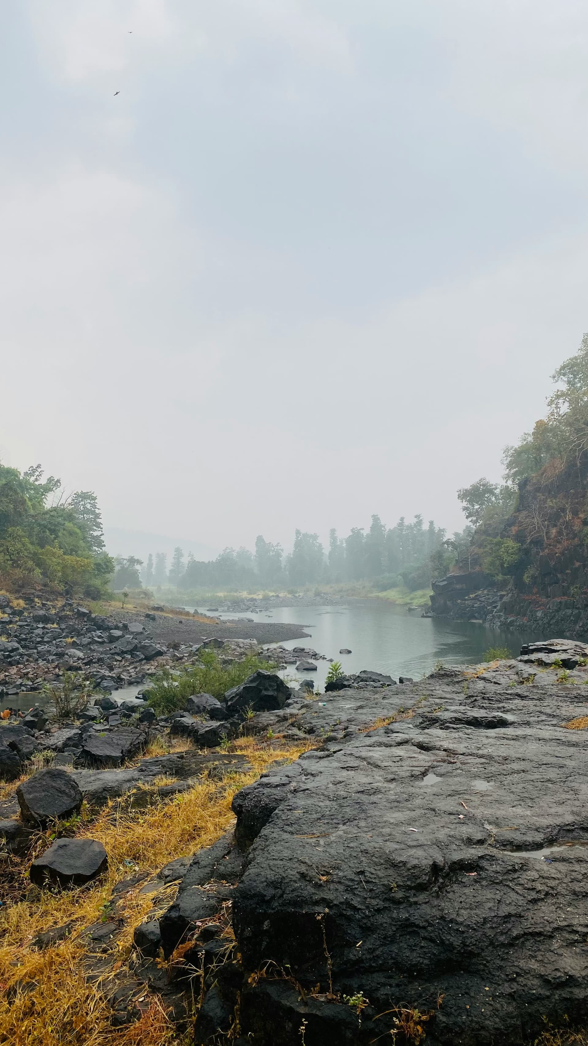 Saputara