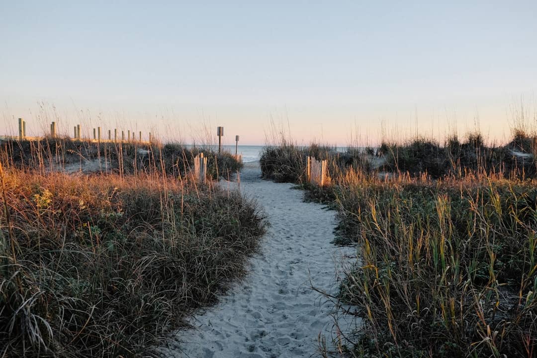 Best Time to Visit Charleston South Carolina 3