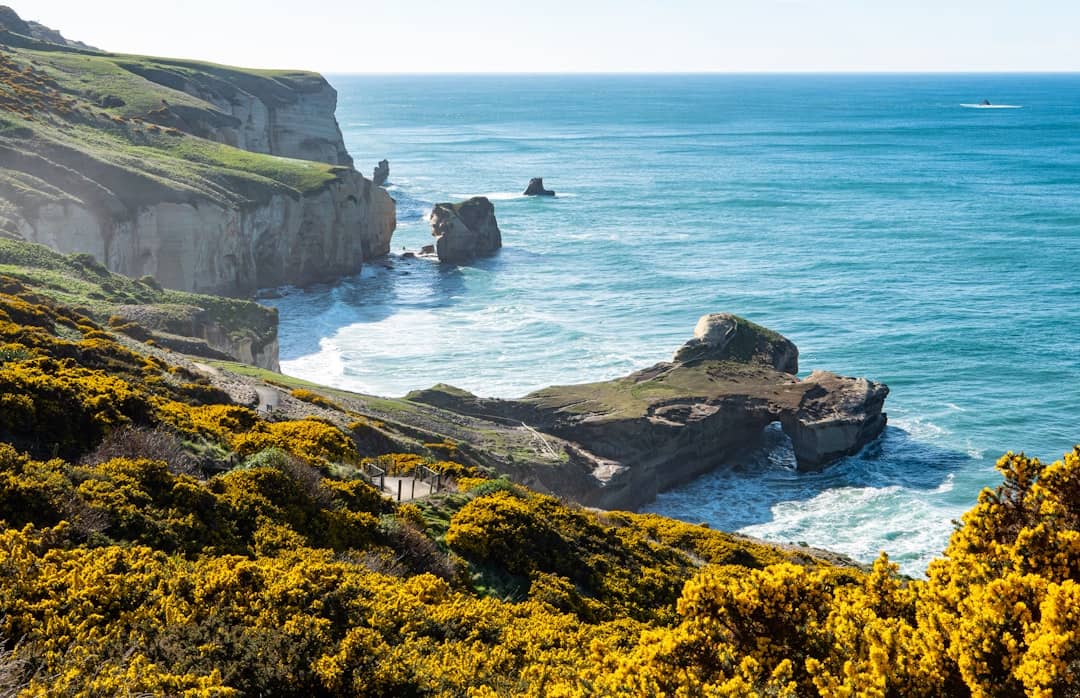 Best Day Trips from Dunedin You Should Try 2
