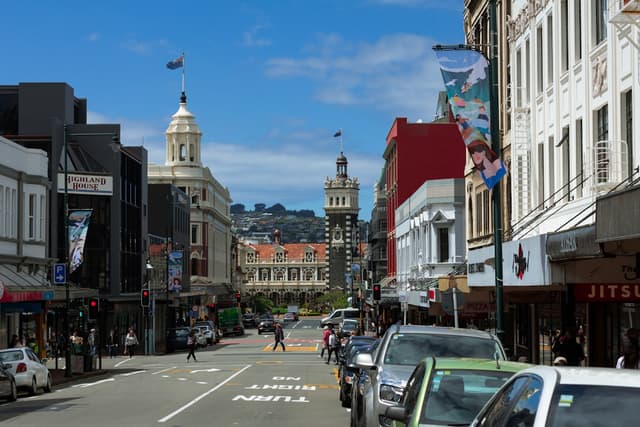 Best Day Trips from Dunedin You Should Try