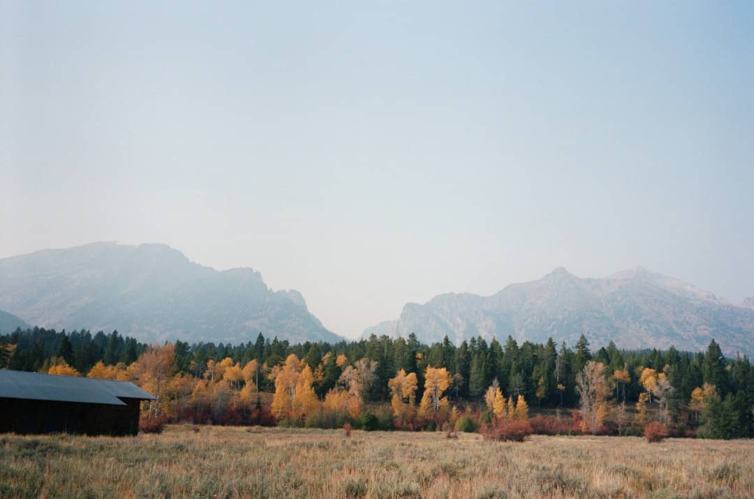 Jackson Hole 3