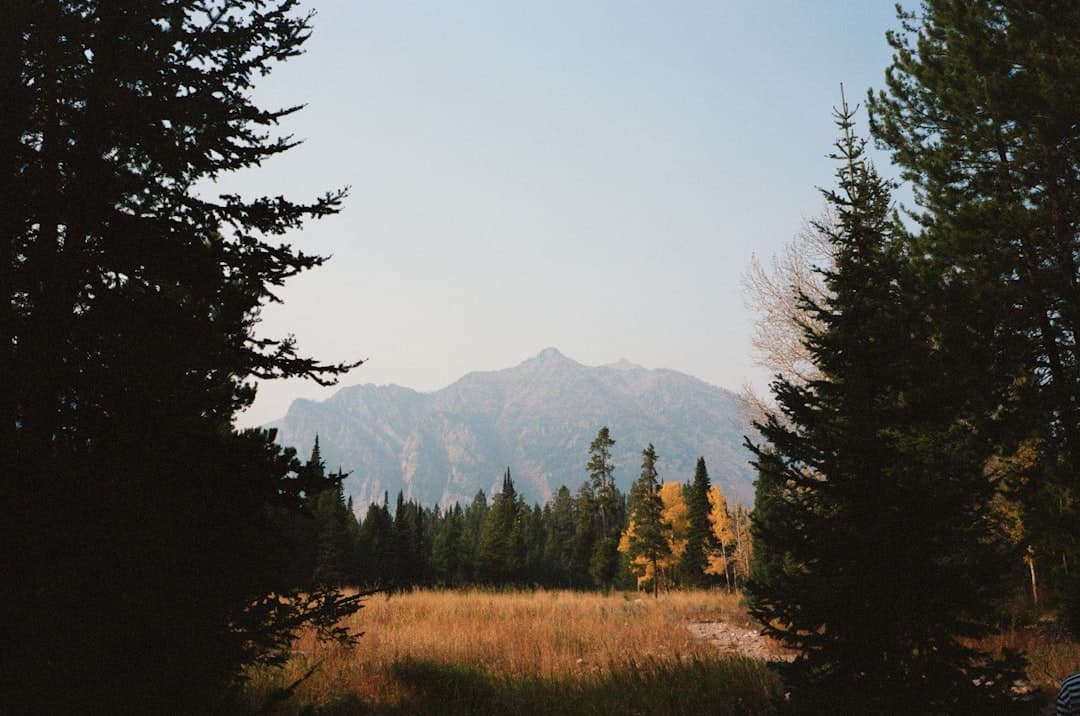 Best Time to Visit Jackson Hole Wyoming: Activities, Seasons & Travel Guide