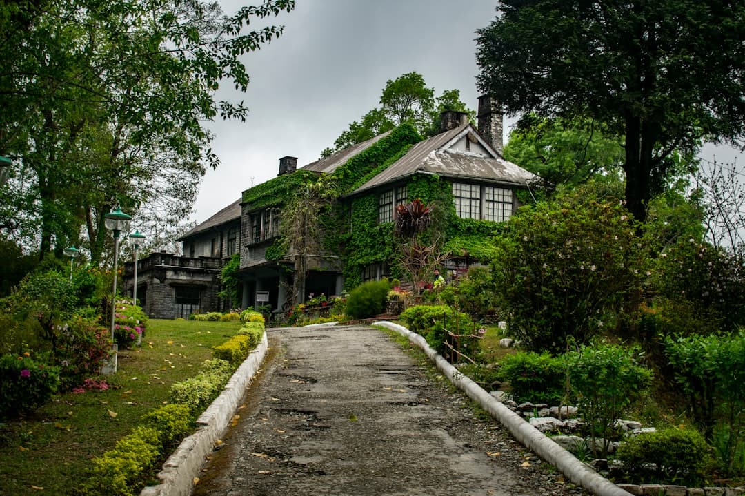 Planning a Kalimpong Tour: Everything You Actually Need to Know