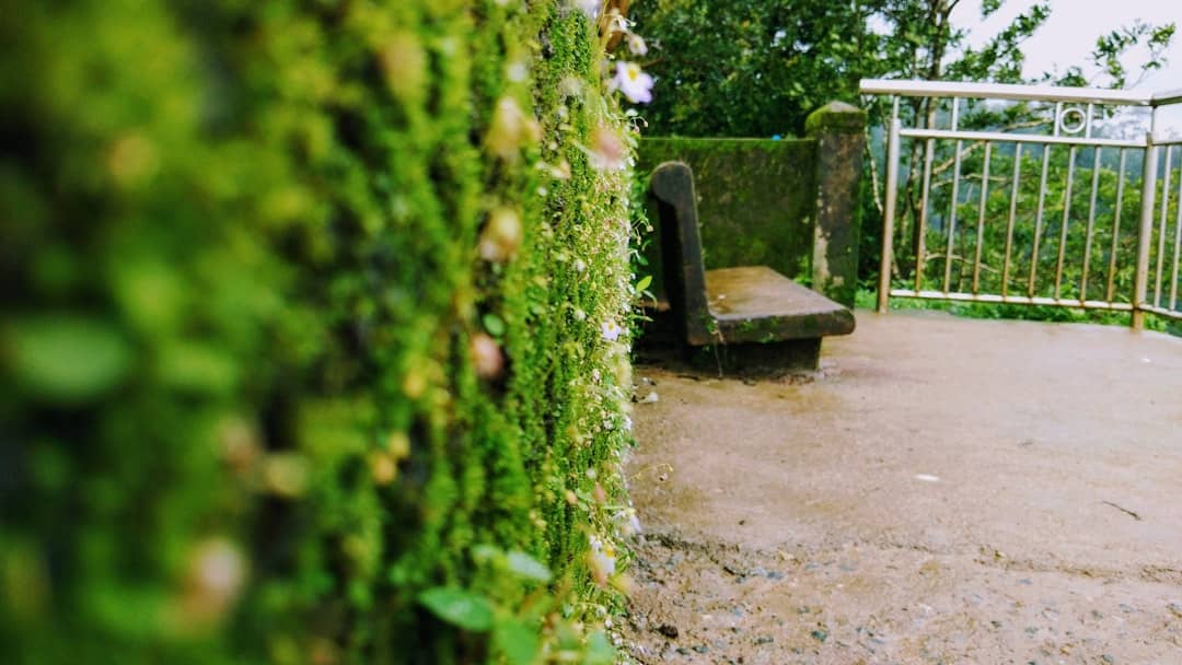 Shimoga Travel Guide: Waterfalls Forests & Nature 2