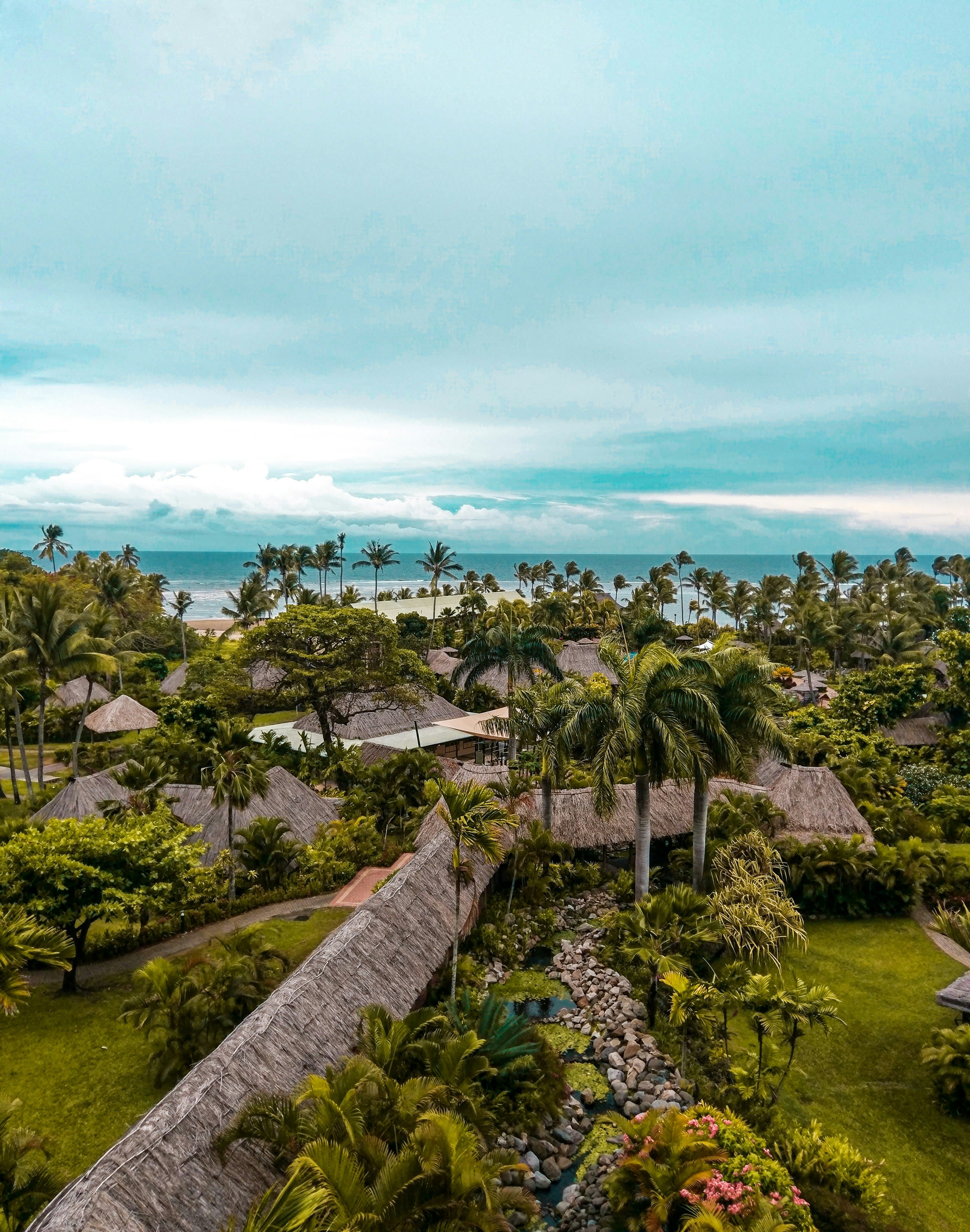 fiji.jpeg