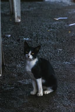 Lonavala & Khandala 1