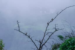 Lonavala & Khandala 2