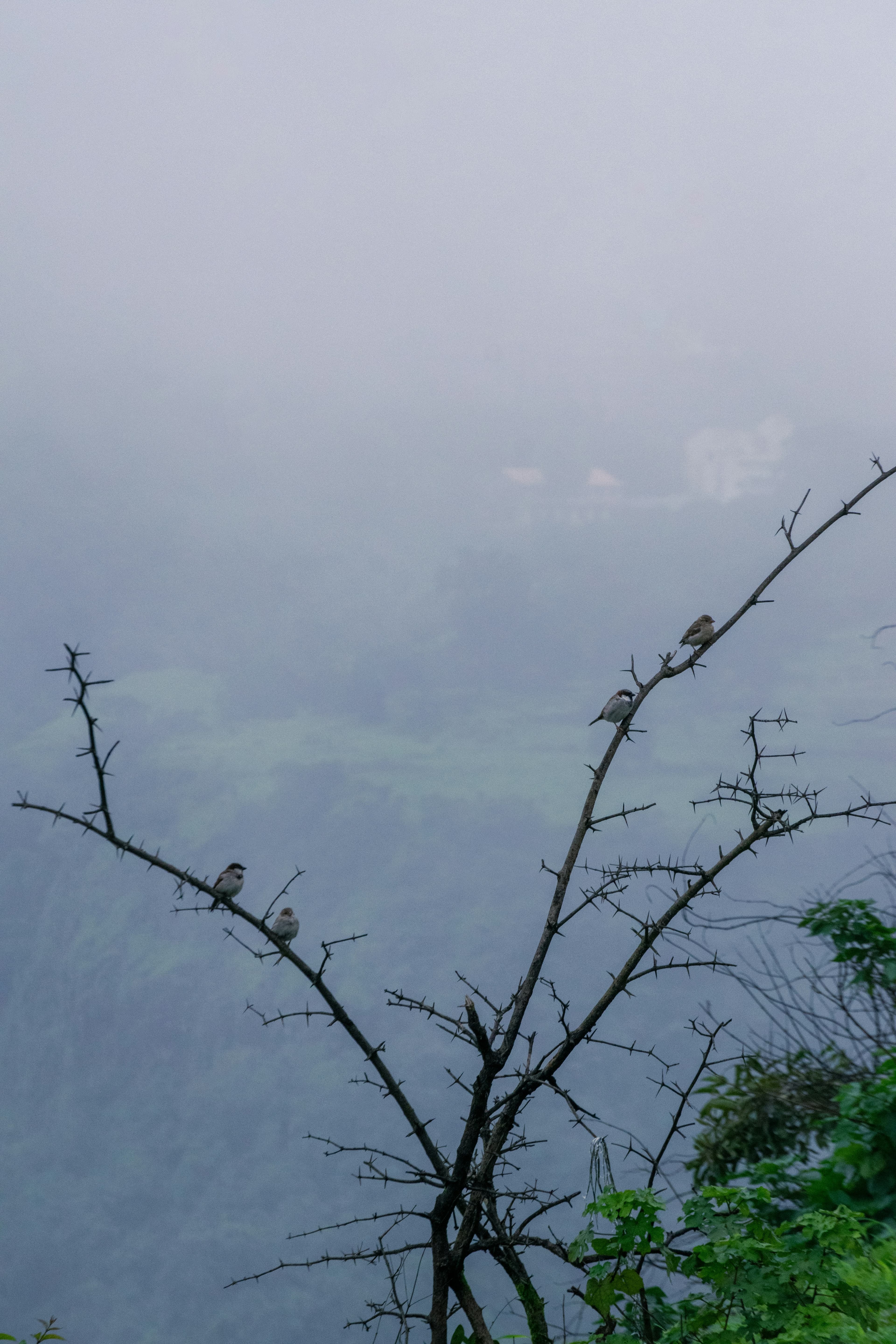 Lonavala & Khandala 3