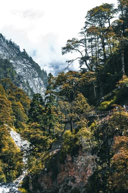 Yamunotri 2
