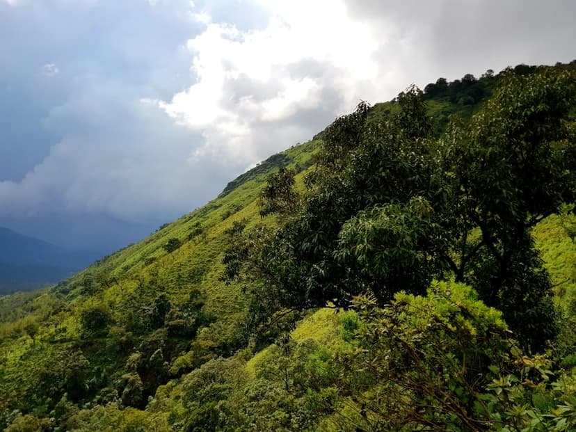 green-trees-on-mountain-under-white-clouds-during-daytime.jpeg