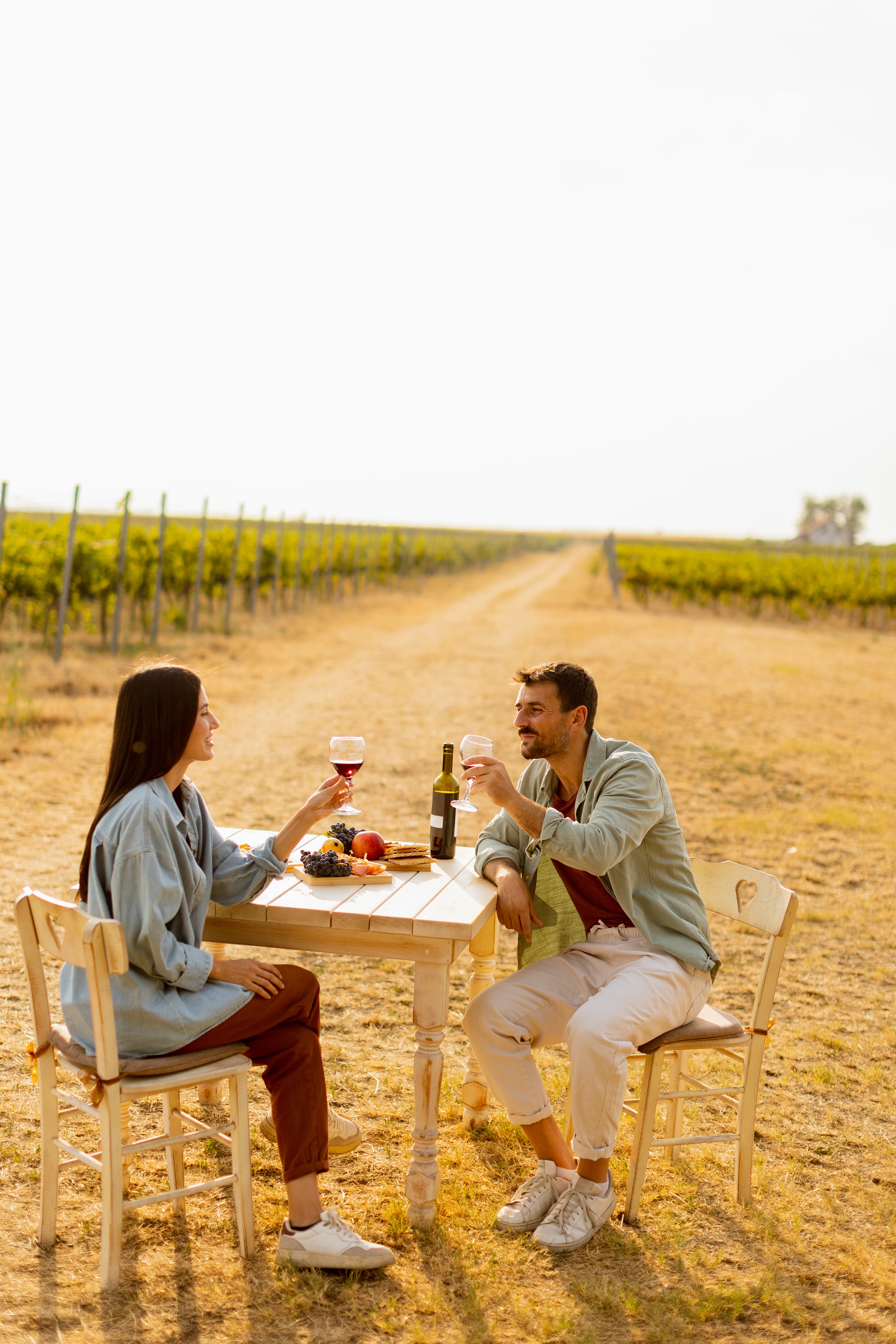 Vineyard Retreat & Wine Tasting