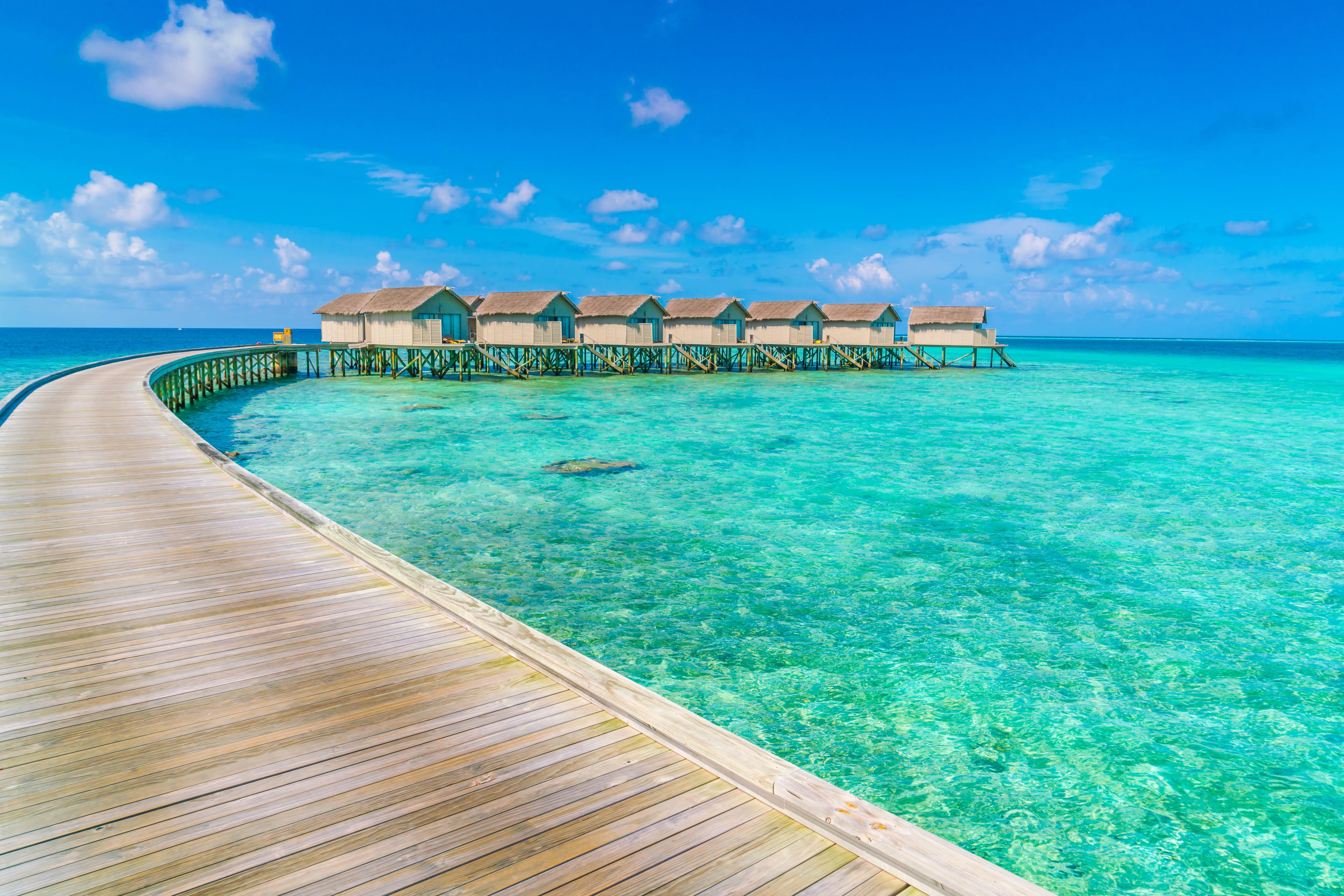 maldives.jpeg