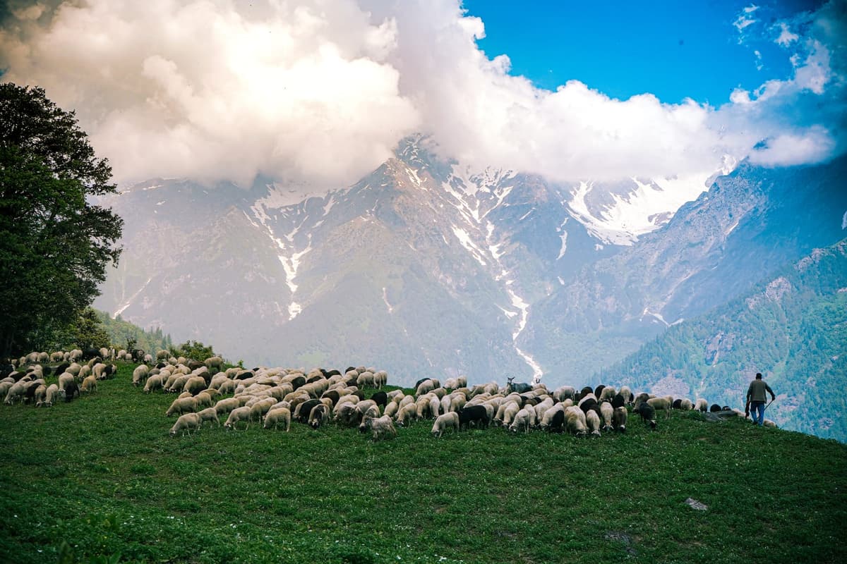 Pahalgam