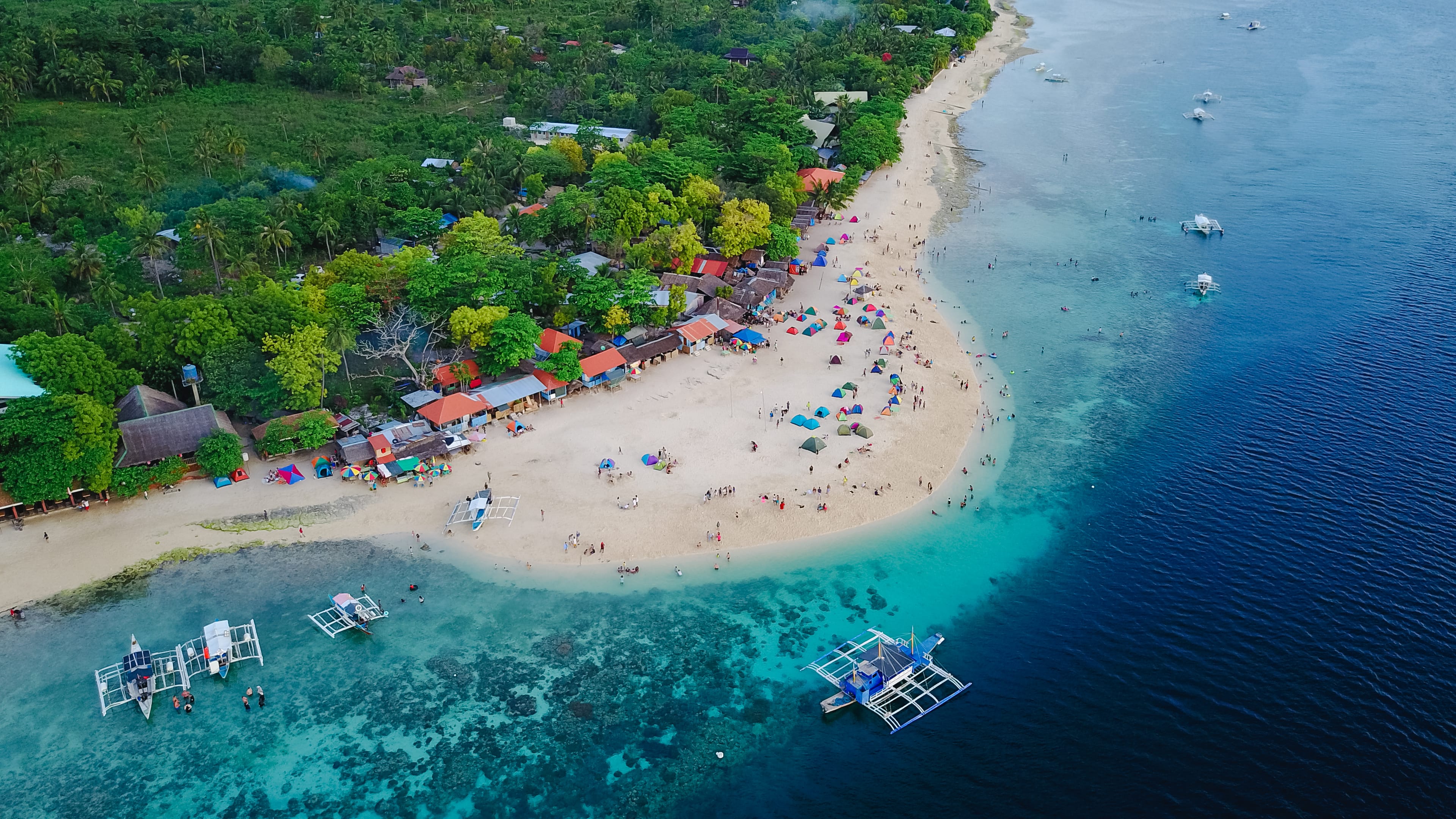 people on beach during daytime