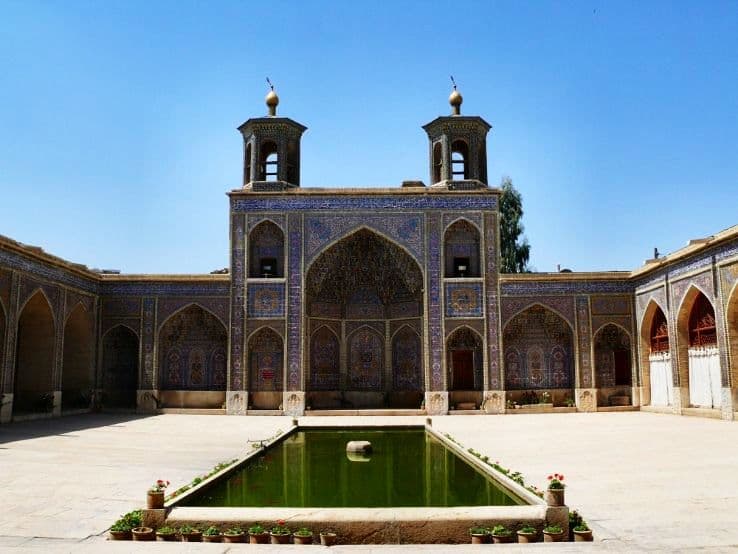 green and white bird on green leaf plant during daytime