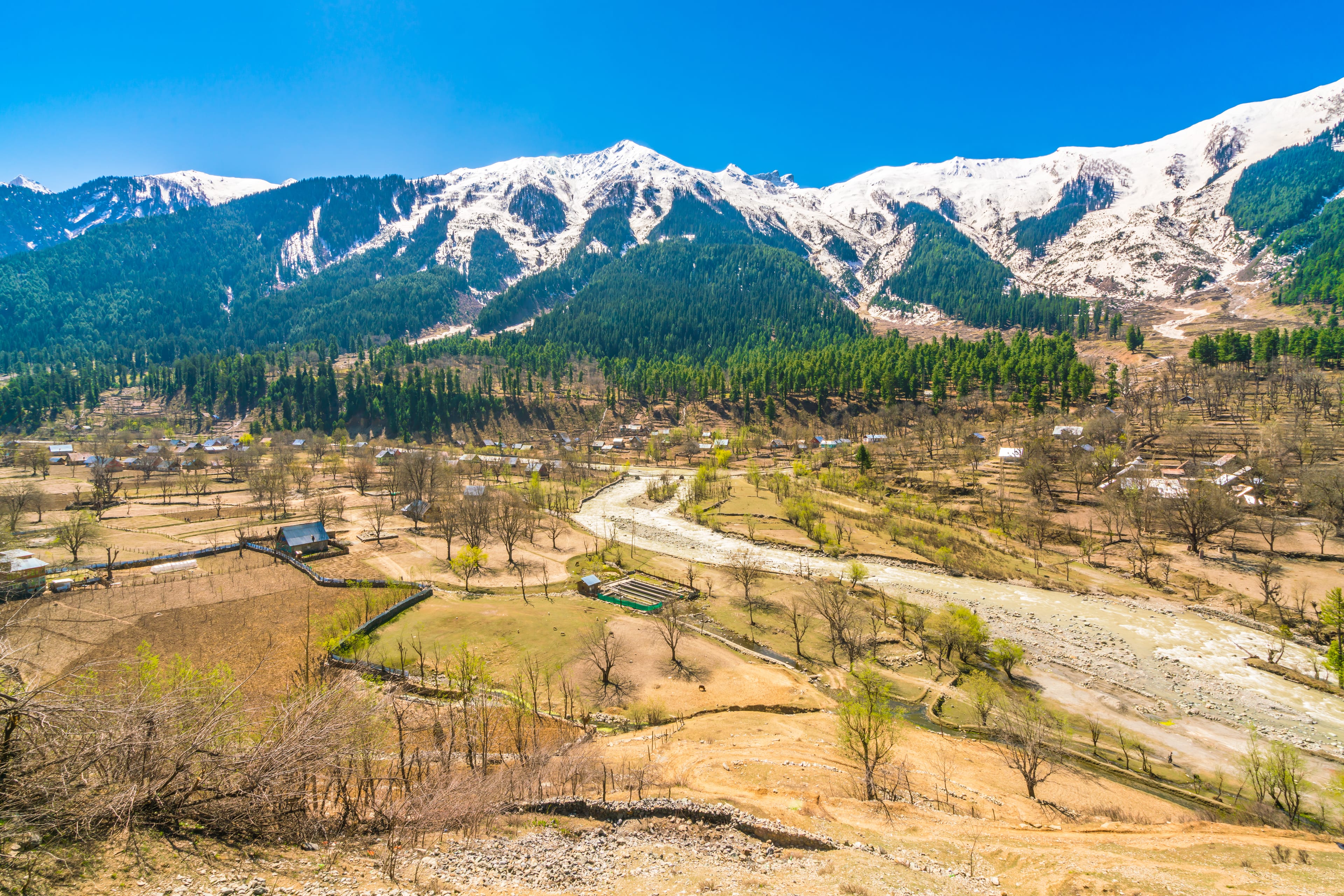 srinagar.jpeg