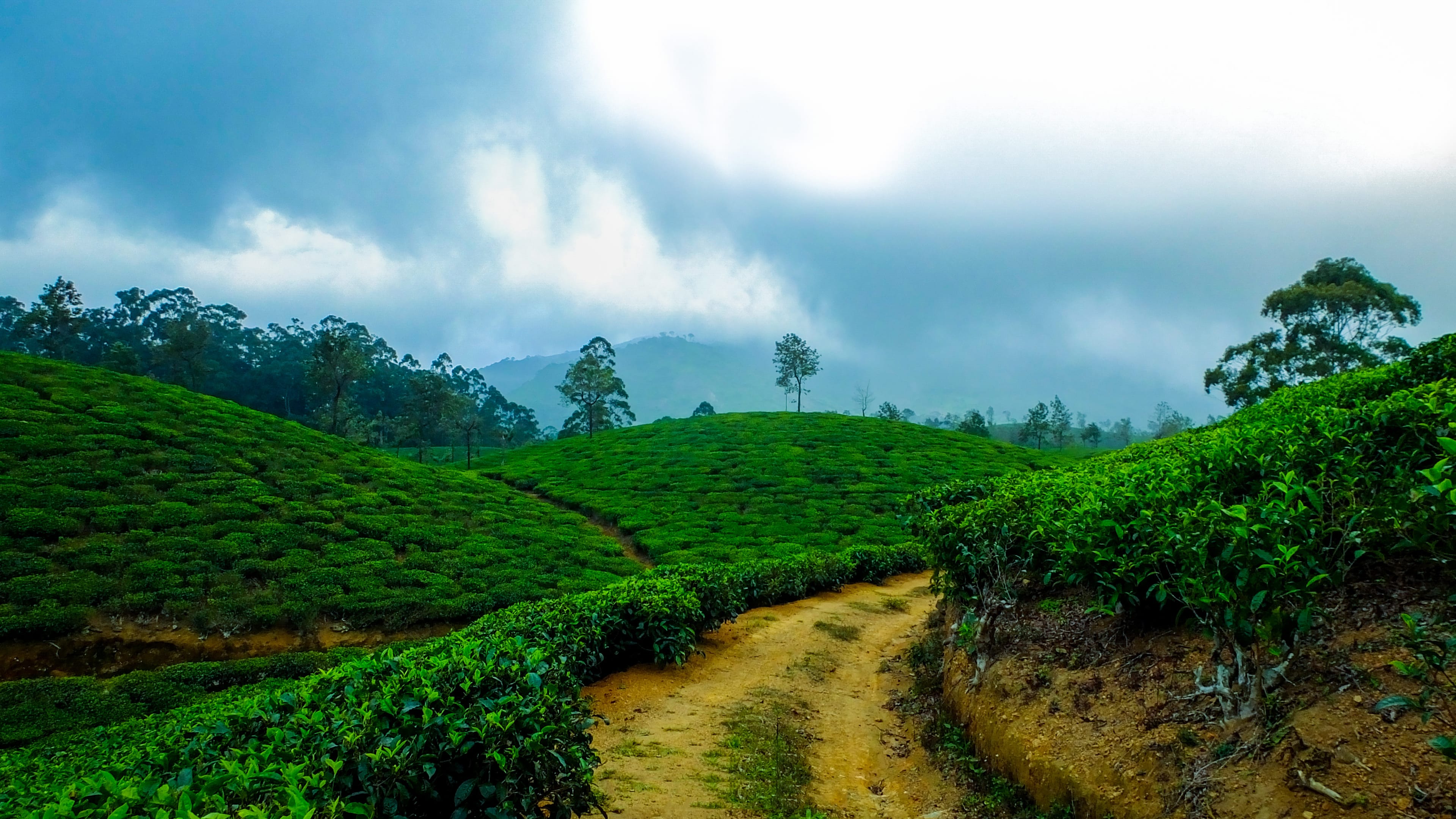 thekkady.jpeg