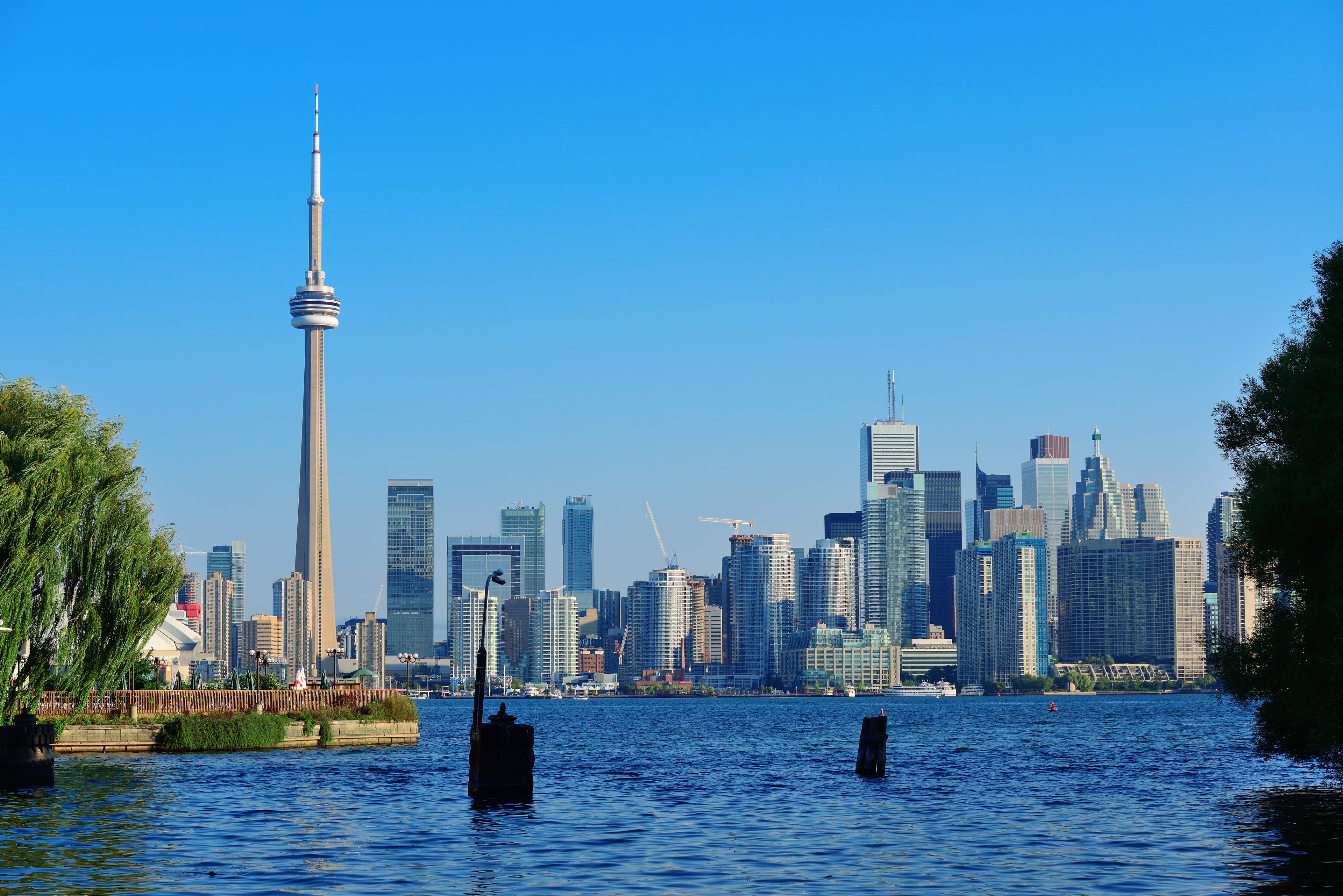 toronto.jpeg