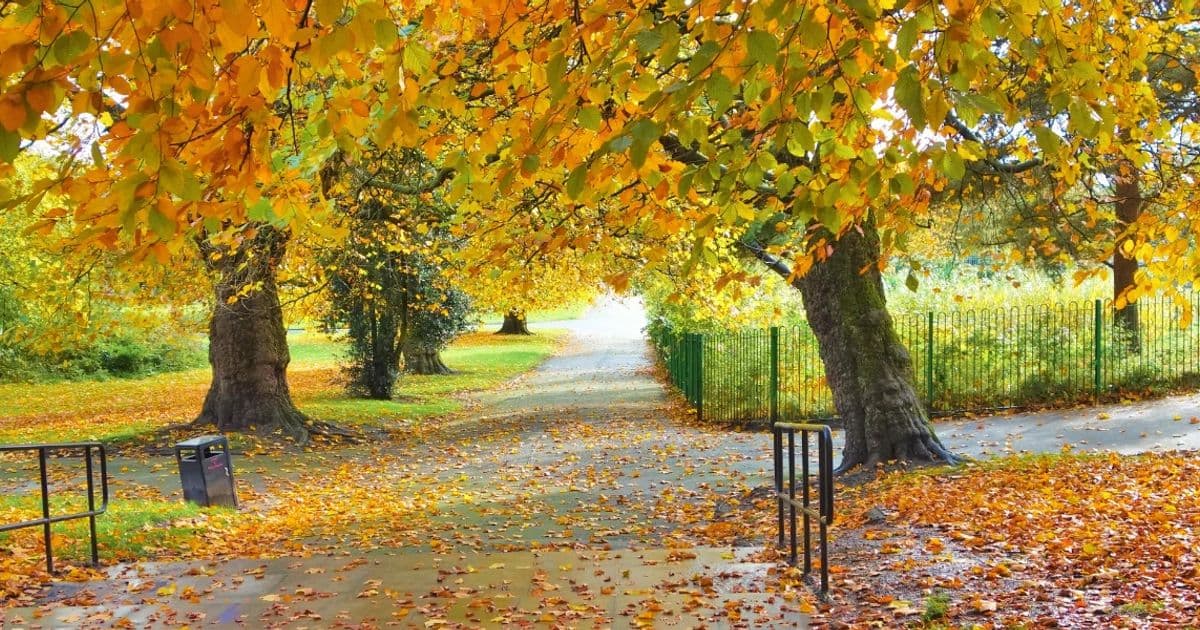 October